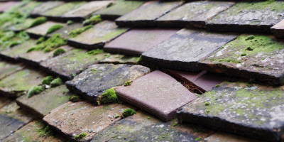 Westbury roof repair costs